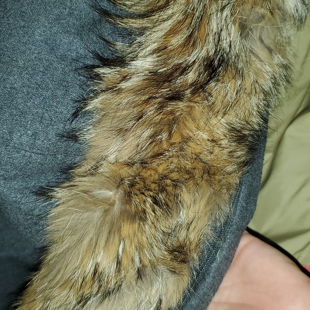 W's XS Woolrich Wool, Down, Real Fur Coat - Picture 9 of 14